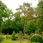 Victoria 3*