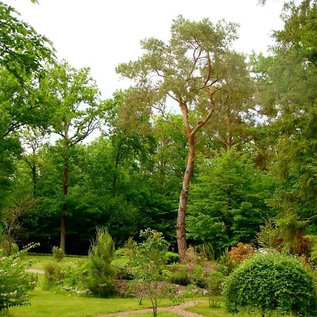 Victoria 3*