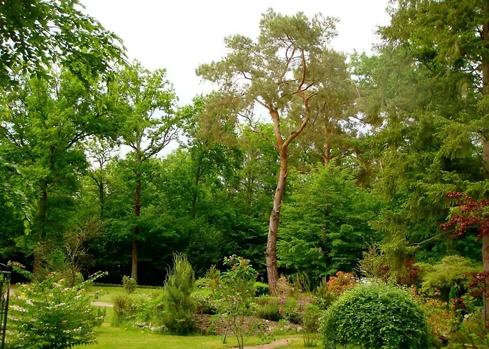 Victoria 3*